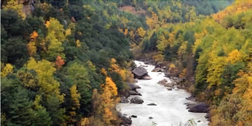 Imagen de los exteriores del Hotel Los Nogales, Campo. Foto 17