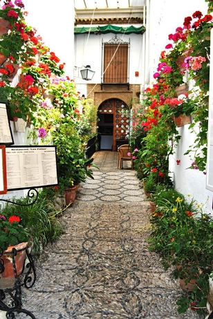 Imagen general del Hotel Los Patios, Córdoba. Foto 1
