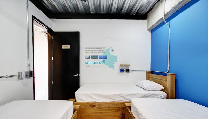 Imagen de la habitación del Hotel Los Patios Hostel, MEDELLIN. Foto 5