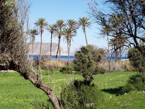 Imagen general del Hotel Los Patios - Parque Natural. Foto 2