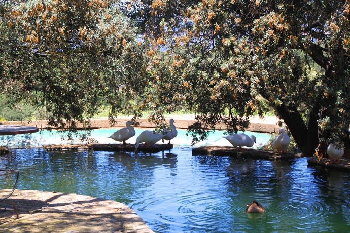 Imagen general del Hotel Los Pilares De Ronda Boutique and. Foto 15