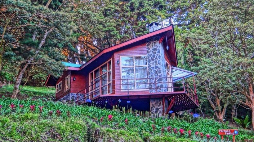 Imagen de la habitación del Hotel Los Pinos Cabanas Y Jardines. Foto 4