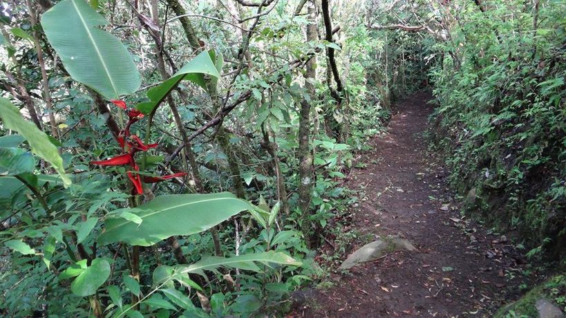 Imagen de los exteriores del Hotel Los Pinos Cabanas Y Jardines. Foto 13