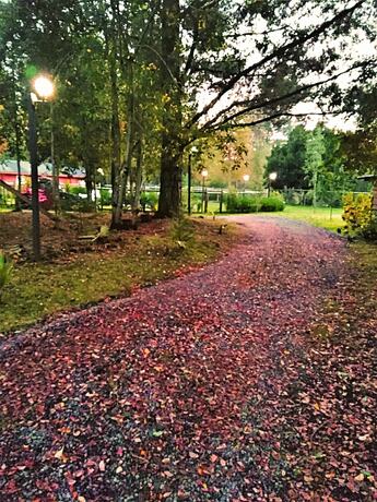 Imagen general del Hotel Los Reales de los Siete Lagos. Foto 11