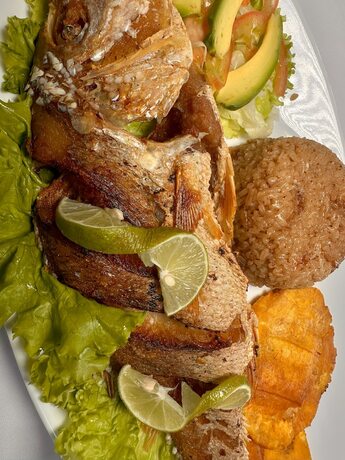 Imagen general del Hotel Los Veleros STHotels. Foto 5