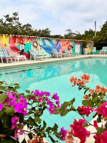 Imagen general del Hotel Los Veleros STHotels. Foto 13