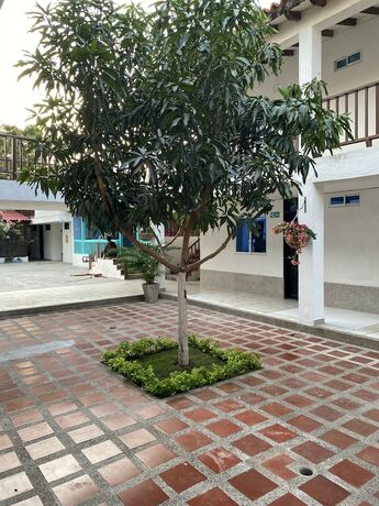 Imagen general del Hotel Los Veleros STHotels. Foto 14