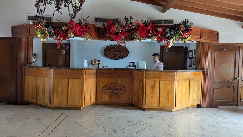 Imagen de los interiores del Hotel Los Vi&ntilde;edos. Foto 13