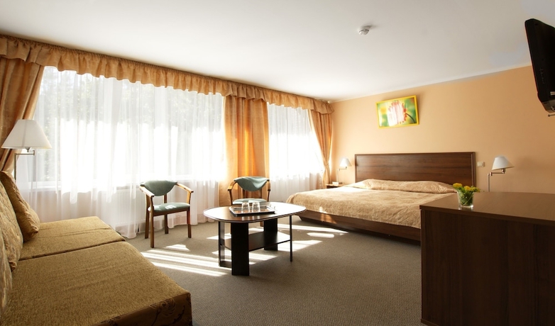 Imagen de la habitación del Hotel Losevo Park. Foto 12