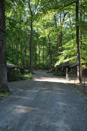 Imagen de los exteriores del Hotel Lost Lodge Resort. Foto 12