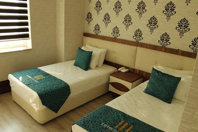 Imagen de la habitación del Hotel Lotis. Foto 9