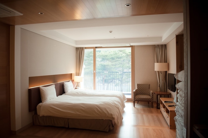 Imagen de la habitación del Hotel Lotte Buyeo Resort. Foto 17