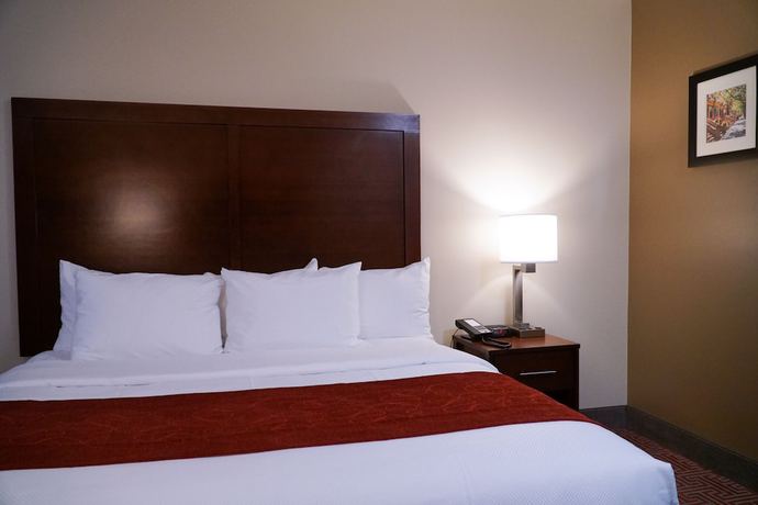 Imagen de la habitación del Hotel Lotus BLU Inn and Suites. Foto 19