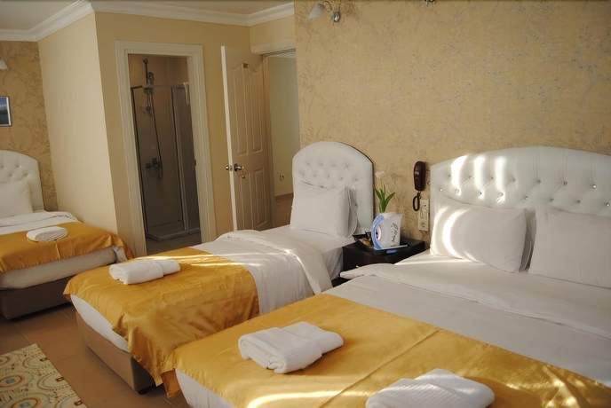 Imagen de la habitación del Hotel Lotus, Estambul. Foto 15