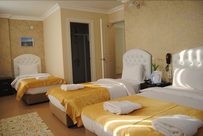 Imagen de la habitación del Hotel Lotus, Estambul. Foto 19