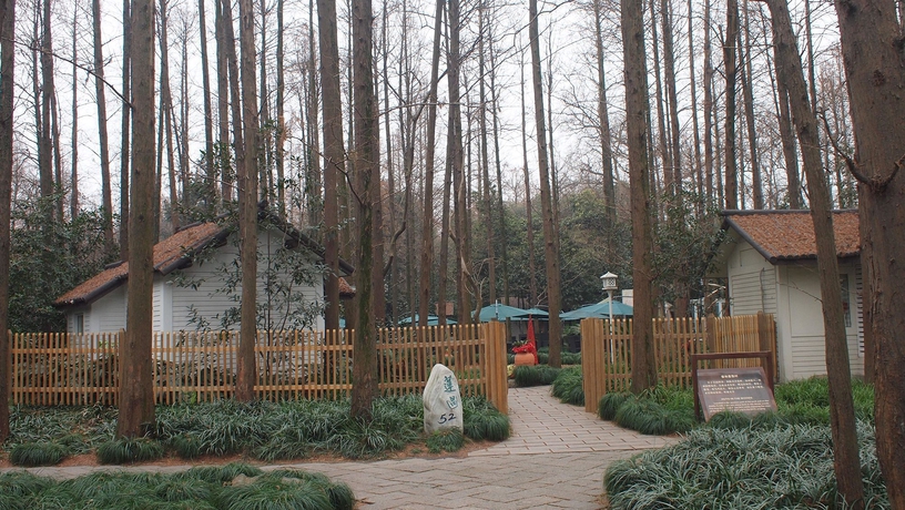 Imagen de los exteriores del Hotel Lotus Glade 52. Foto 5