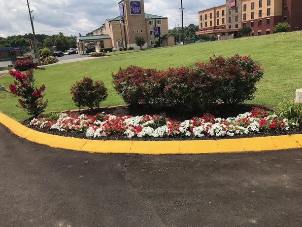 Imagen de los exteriores del Hotel Lotus Inn And Suites. Foto 18