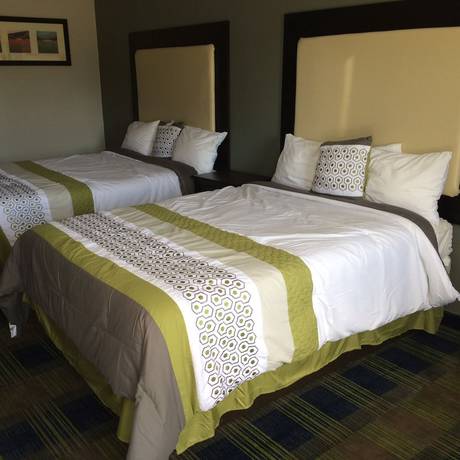 Imagen de la habitación del Hotel Lotus Inn And Suites. Foto 9