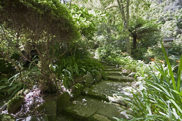 Imagen general del Hotel Lotus Lodges. Foto 12