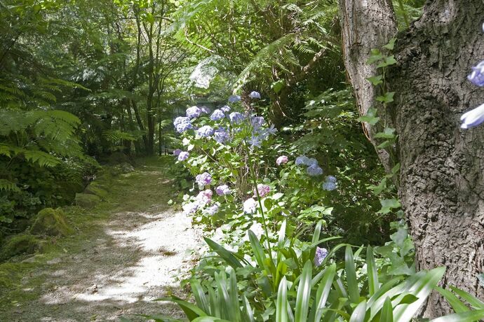 Imagen de la habitación del Hotel Lotus Lodges. Foto 24