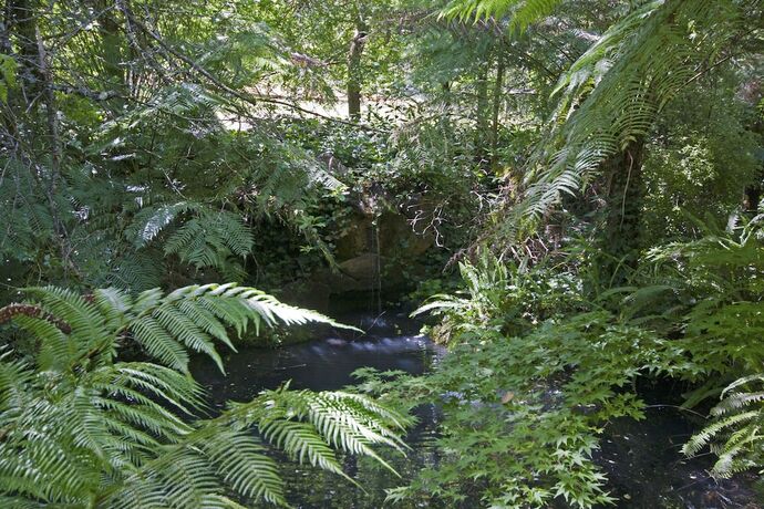 Imagen de los exteriores del Hotel Lotus Lodges. Foto 32