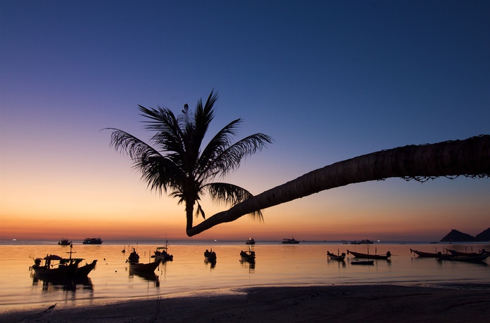 Imagen de los exteriores del Hotel Lotus Paradise Resort. Foto 12