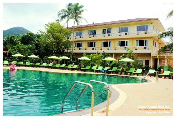 Imagen de la piscina del Hotel Lotus Paradise Resort. Foto 15