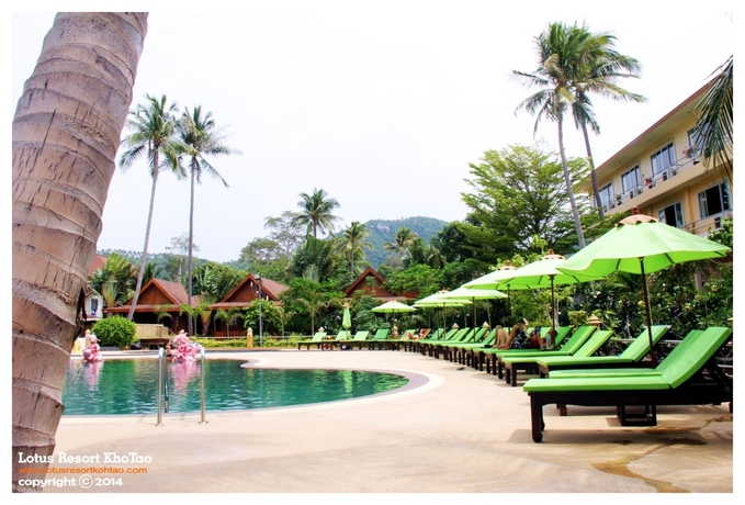 Imagen general del Hotel Lotus Paradise Resort. Foto 3