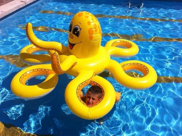 Imagen de la piscina del Hotel Lotus, Rimini. Foto 17