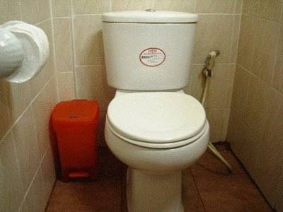 Imagen general del Hotel Lotus Village. Foto 11