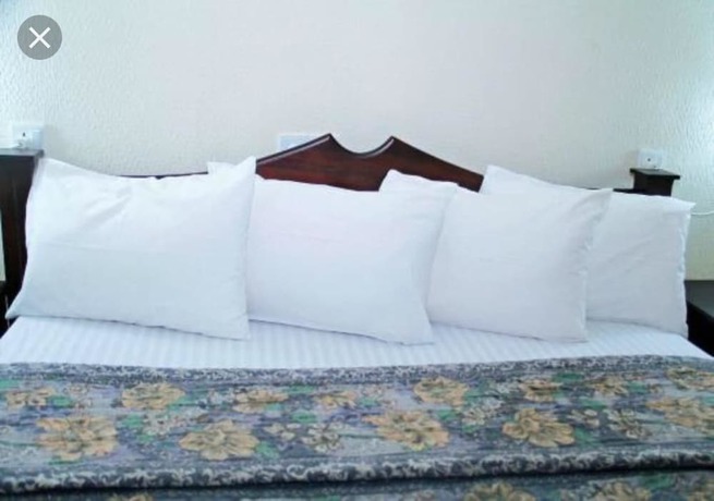 Imagen de la habitación del Hotel Lou Ralph. Foto 10