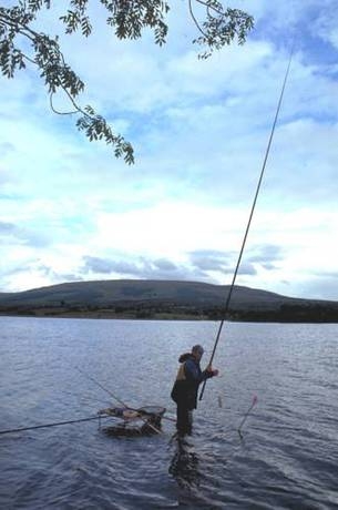 Imagen de los interiores del Hotel Lough Allen Hotel y Spa. Foto 10