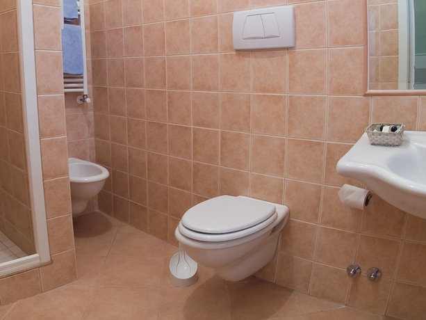 Imagen de la habitación del Hotel Louis Ii, Aeropuerto de Roma-Ciampi. Foto 10