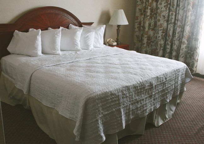 Imagen de la habitación del Hotel Louisville. Foto 5
