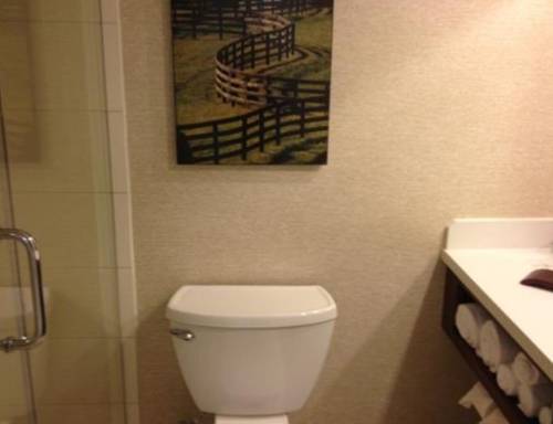 Imagen de la habitación del Hotel Louisville Marriott East. Foto 5