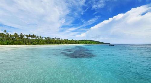 Imagen general del Hotel Love In and Resort. Foto 12