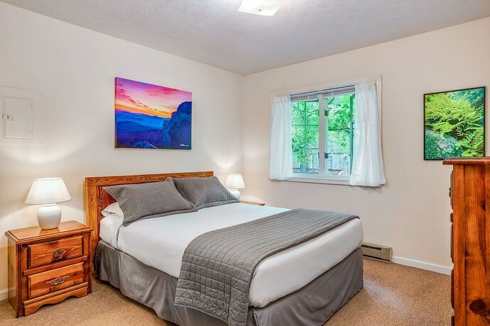 Imagen de la habitación del Hotel Love Ridge Mountain Lodging. Foto 11
