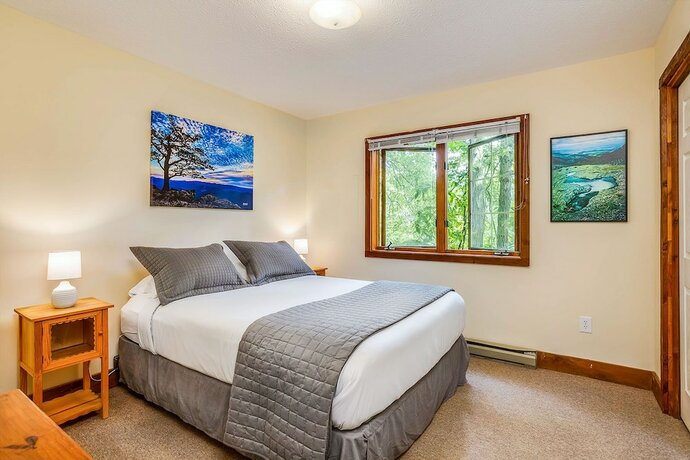 Imagen de la habitación del Hotel Love Ridge Mountain Lodging. Foto 16