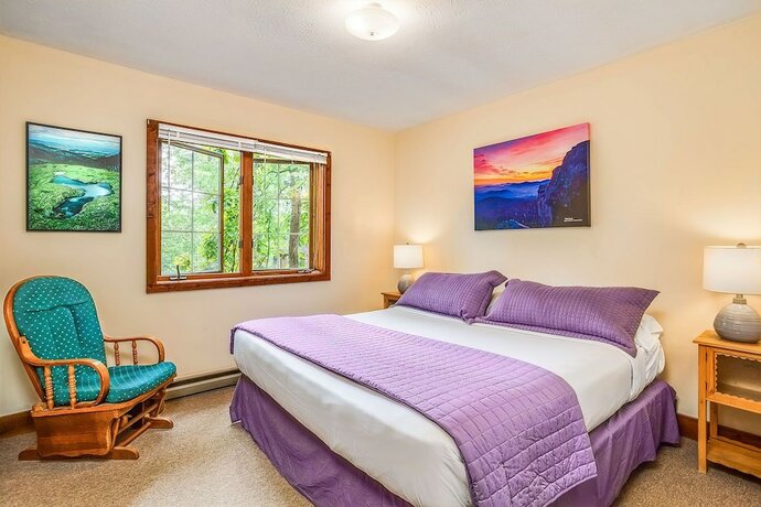 Imagen general del Hotel Love Ridge Mountain Lodging. Foto 8