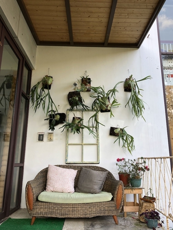 Imagen de los interiores del Hotel Love To Stick Together. Foto 17