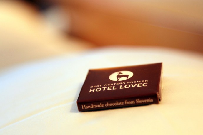 Imagen de la habitación del Hotel Lovec. Foto 15