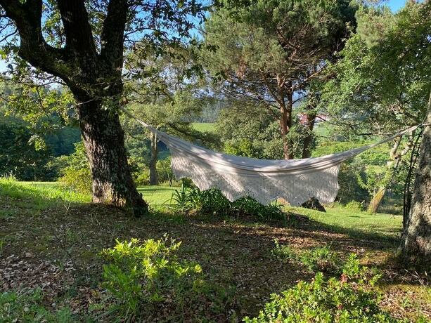 Imagen general del Hotel Lovely 6-bed Cottage in Barcelos - Vila Cova. Foto 12