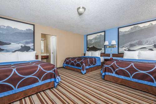 Imagen de la habitación del Hotel Loyal Duke Lodge. Foto 5