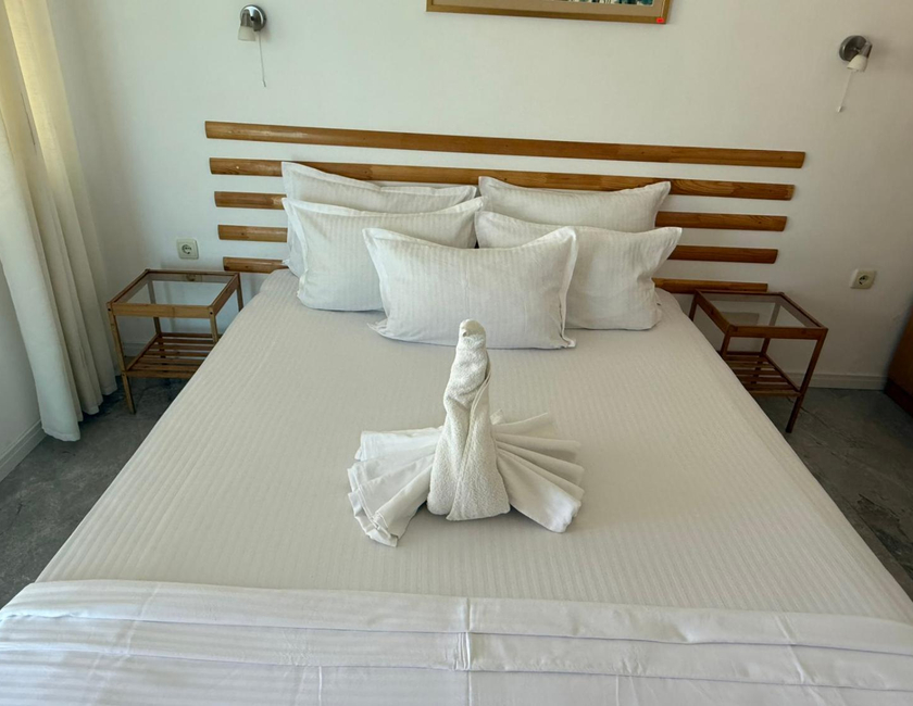 Imagen general del Hotel Lozite. Foto 3