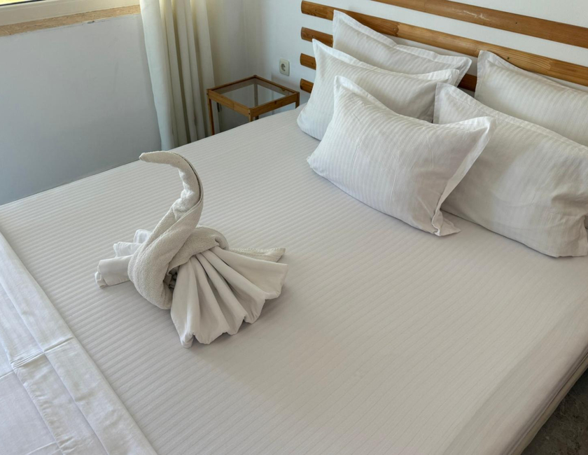 Imagen general del Hotel Lozite. Foto 6
