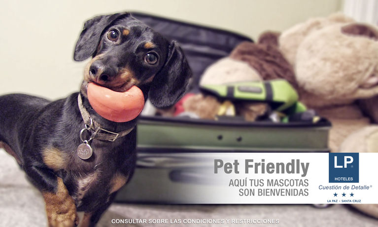 Imagen de la habitación del Hotel Lp Equipetrol. Foto 7