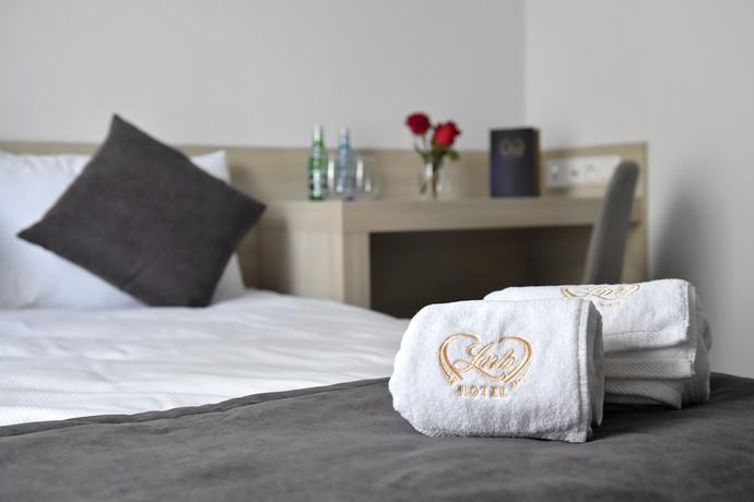 Imagen de la habitación del Hotel Lubhotel. Foto 3