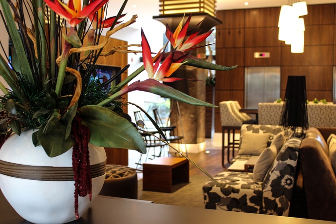 Imagen de la piscina del Hotel Lucerna Tijuana. Foto 16