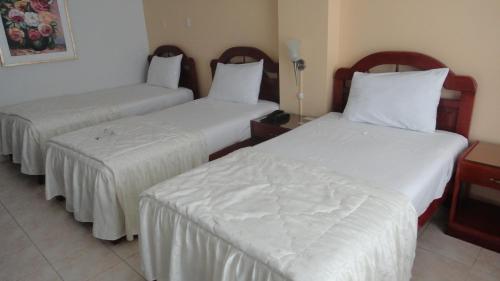 Imagen general del Hotel Lucky Star, Chiclayo. Foto 8