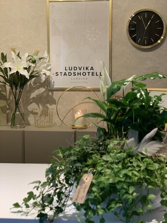 Imagen general del Hotel Ludvika Stadshotell. Foto 3